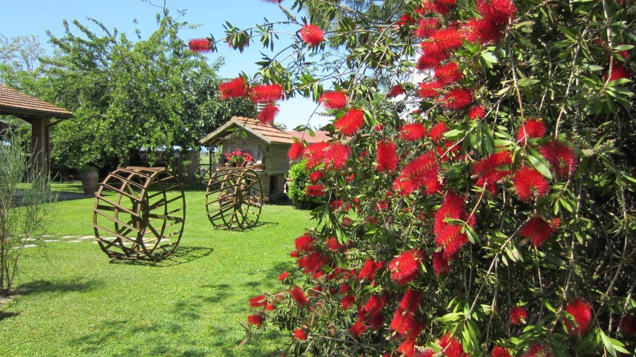 Agriturismo Salcino Villa Grosseto Exterior photo